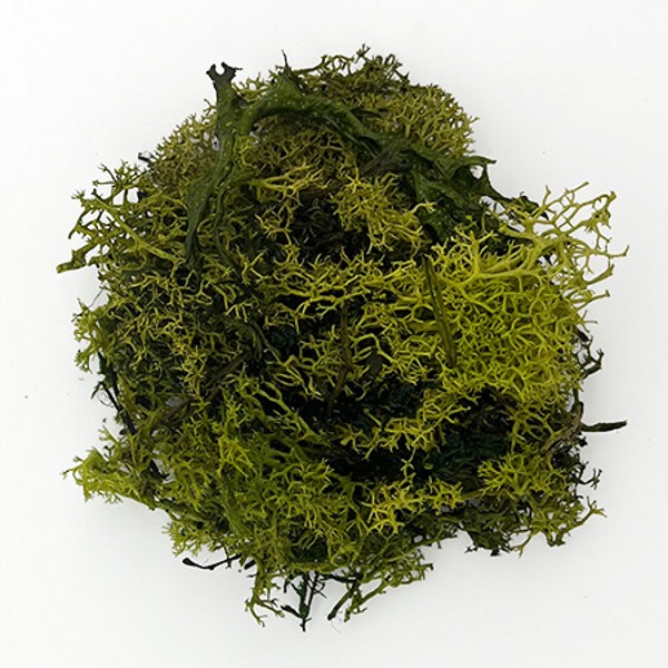 Bauble Filler – Green Moss