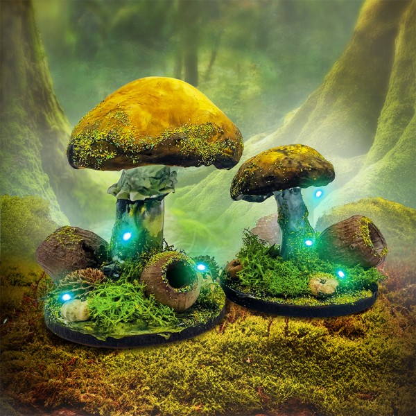 Enchanted Model Mushroom Kit – Blue Light